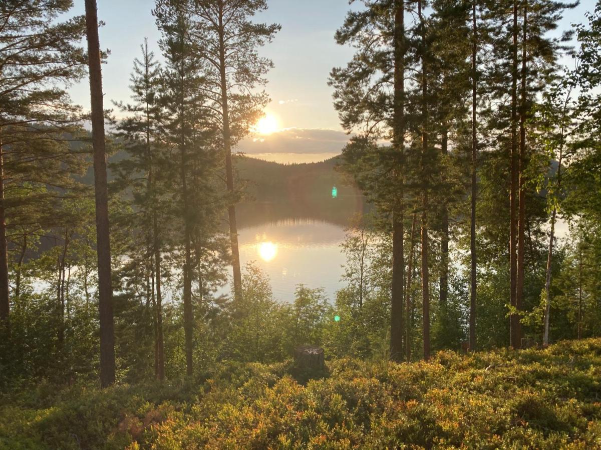 Koli Caravan Cottages Экстерьер фото